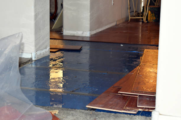 Professional Sewage Cleanup technician working in Julian, WV